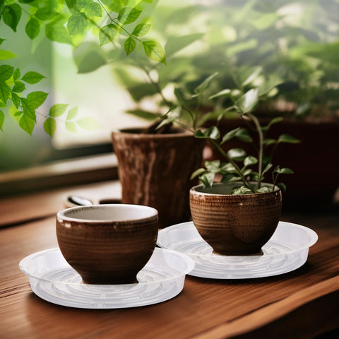 Lallisa weather-resistant 6-inch saucer endures outdoor use and reuse.