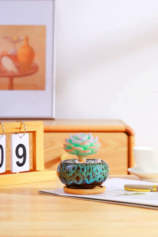 LamDawn bamboo saucer under ceramic pot protecting surfaces.
