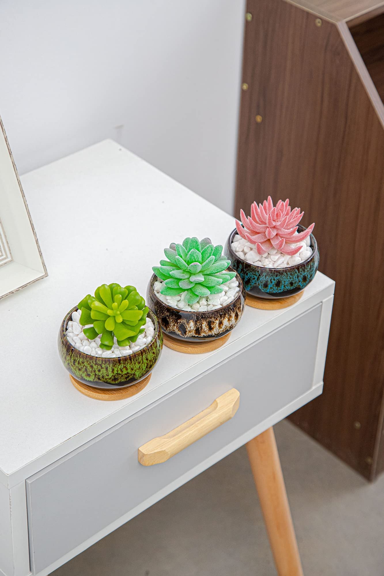 Lamdawn gift-ready succulent pot set for plant lovers