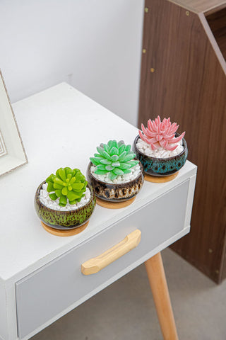 Lamdawn gift-ready succulent pot set for plant lovers