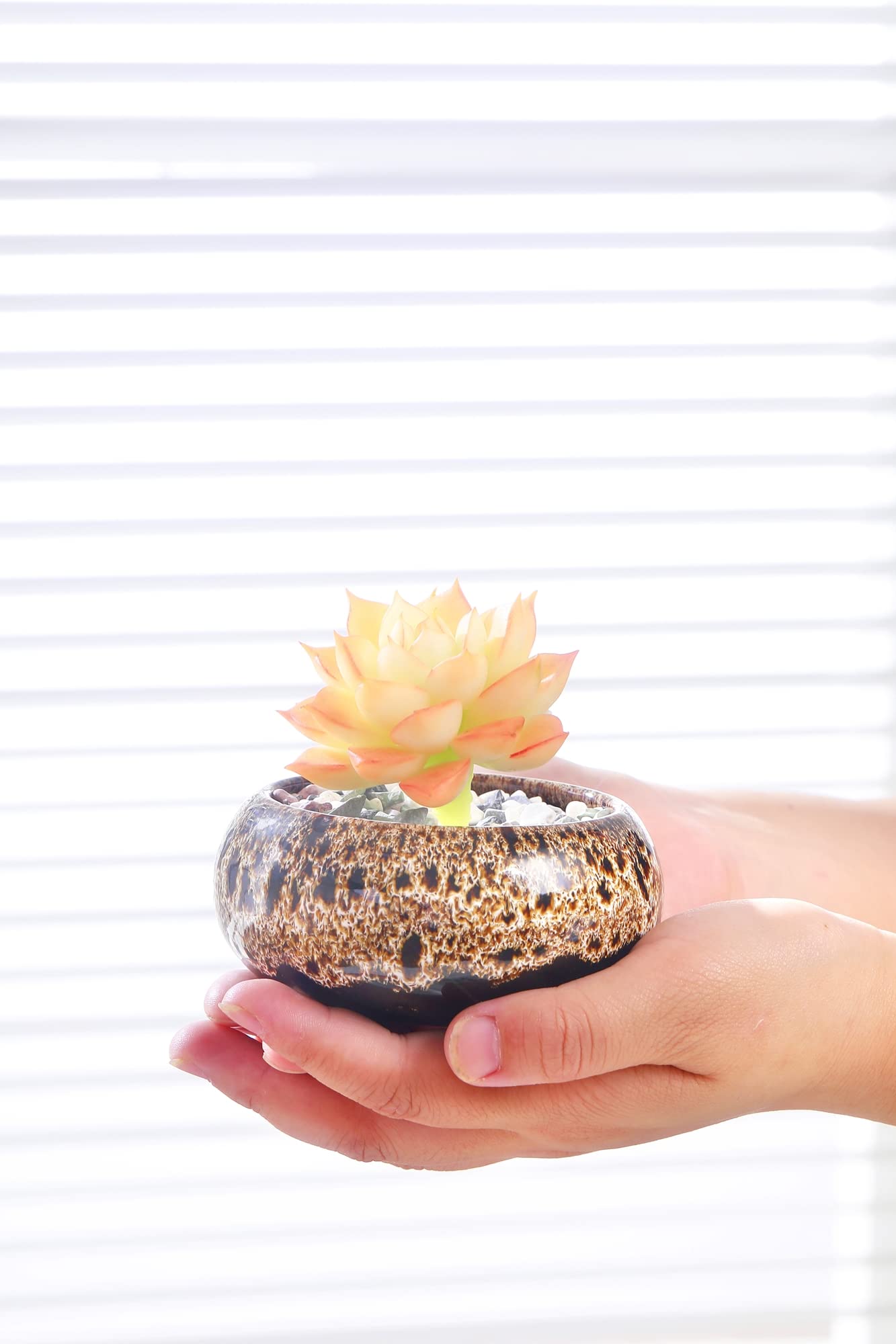 LamDawn pot displayed on a desk with small plant.