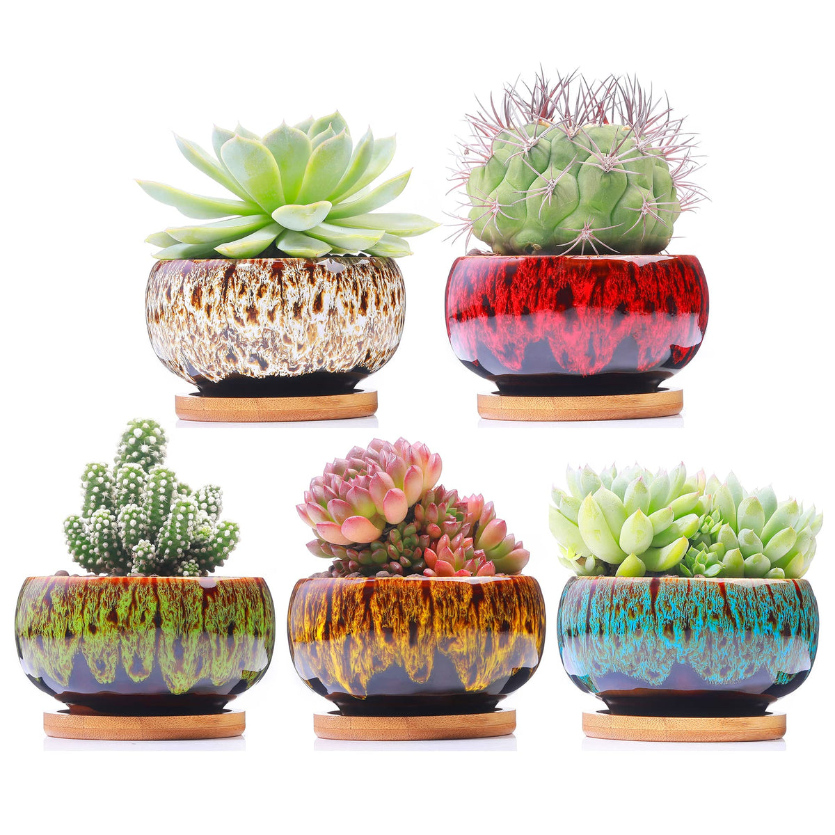 Lamdawn round ceramic succulent pot with drainage for healthy roots