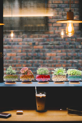 Lamdawn sturdy terracotta pot protects fragile plants during transport