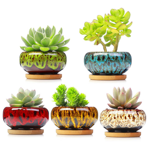 LamDawn succulent ceramic pot with textured glaze and drainage for easy care.