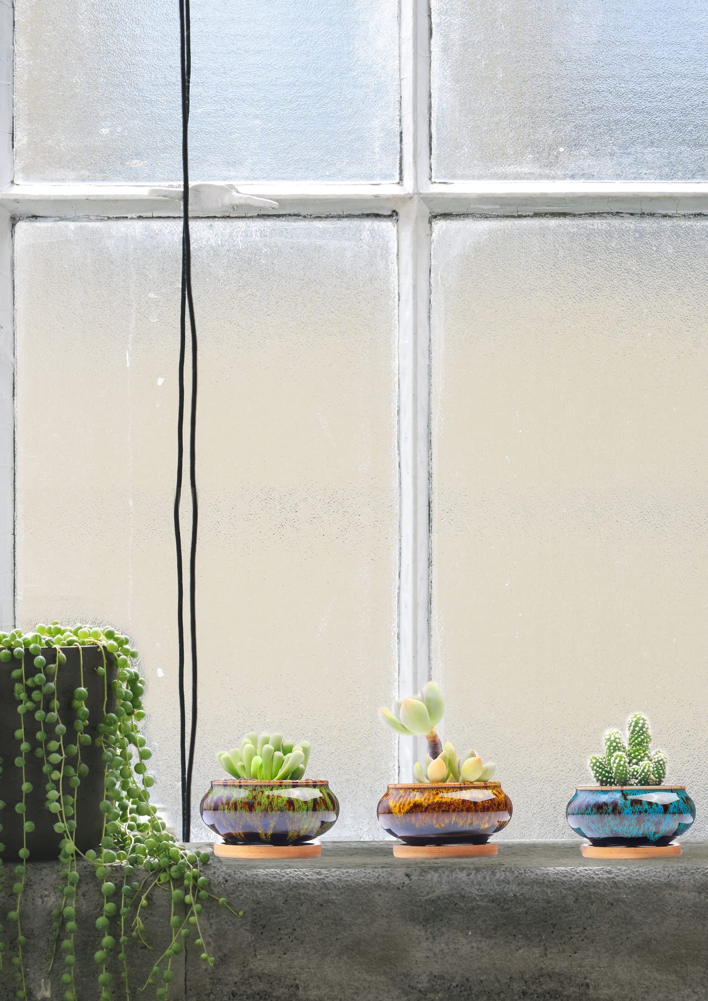 Lamdawn succulent pot highlights drainage hole for healthy watering