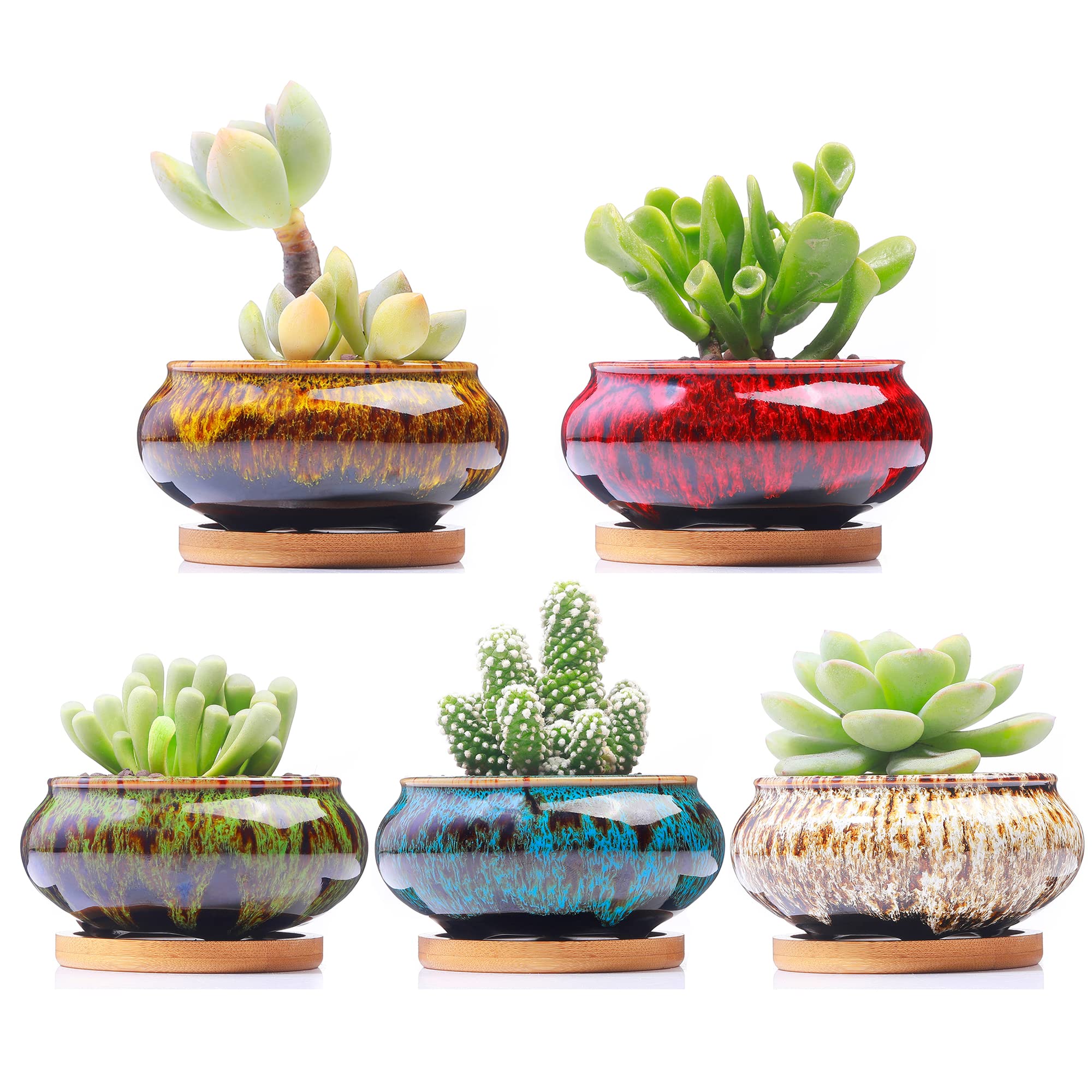 Lamdawn succulent pot close-up shows crackle glaze for stylish desk decor