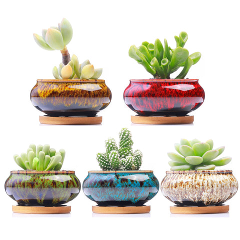 Lamdawn succulent pot close-up shows crackle glaze for stylish desk decor