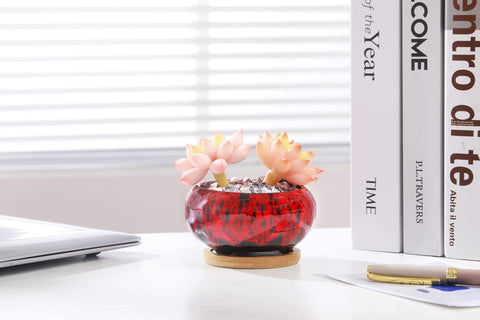 LamDawn window sill display featuring five coordinated planters.