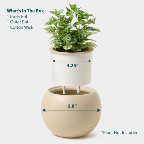 LAMENICO ivory finish pot highlights minimalist indoor décor.