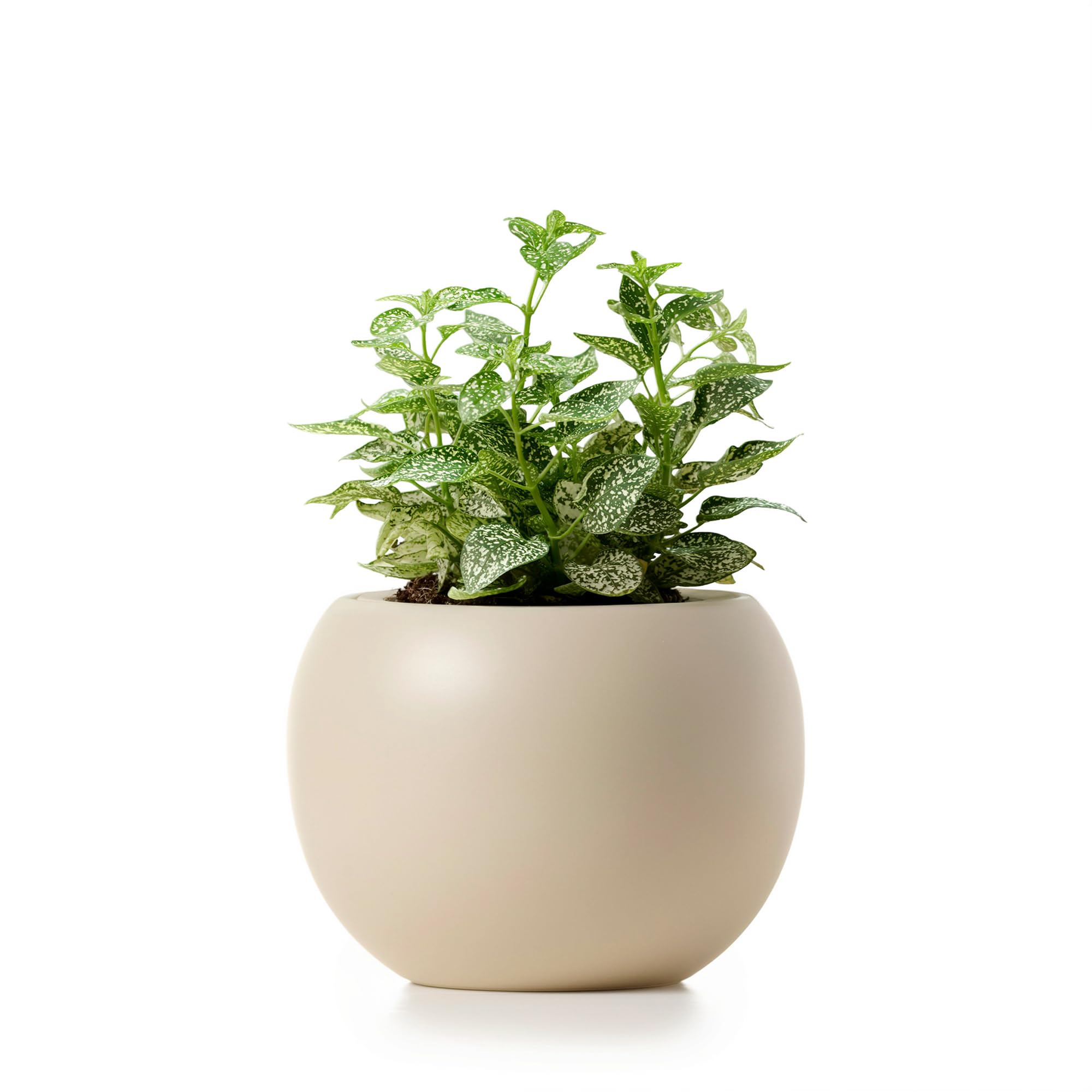 LAMENICO ceramic self-watering pot outer view supports easy plant care.