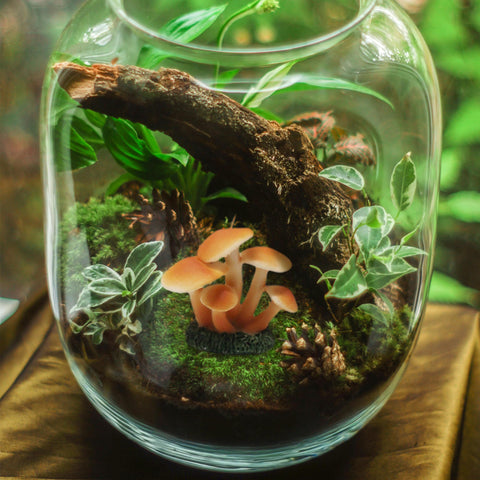 Lamnes resin mushroom ornaments for DIY garden projects and displays.