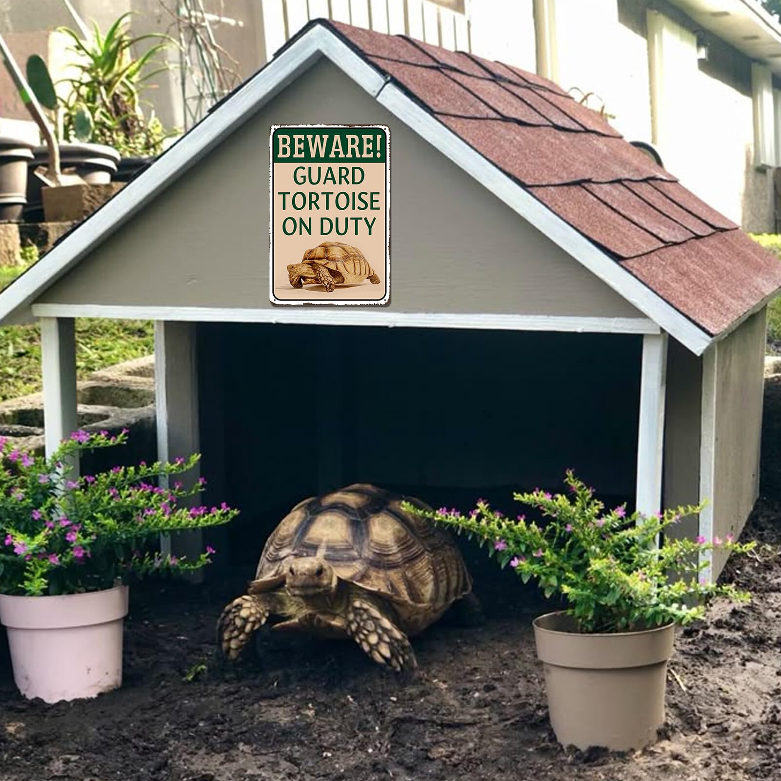 Lamvao tortoise lovers gift metal sign perfect for wall display.