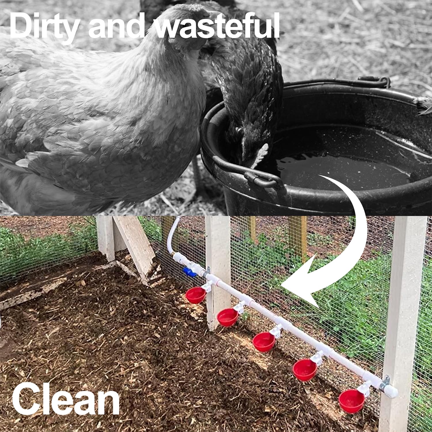 LANARP 5L capacity supports all-day fresh water for poultry in busy coops.