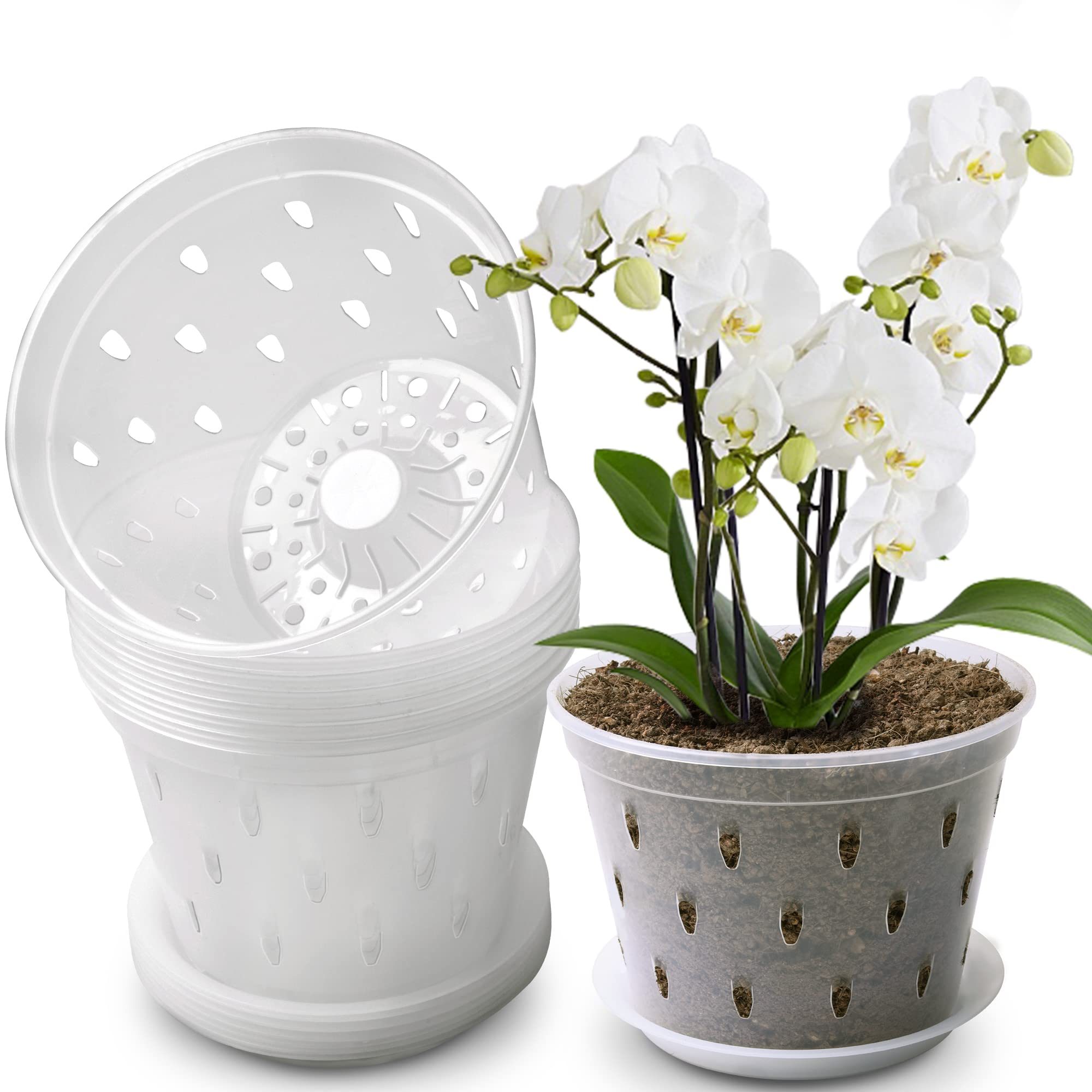 Lanccona Orchid Pot 6-7 inch top view shows clear walls for easy root observation