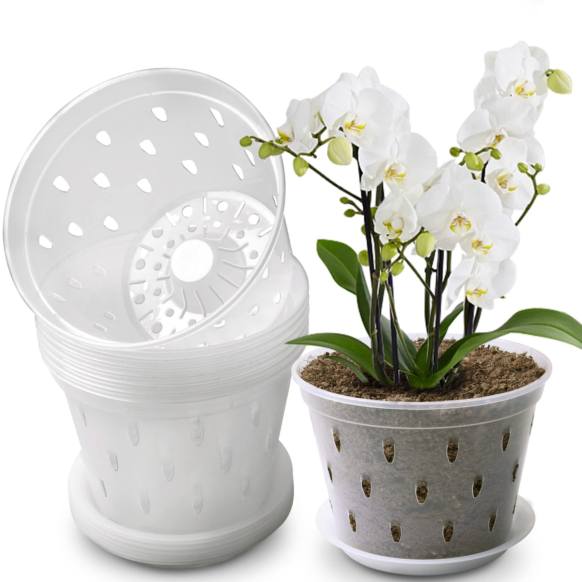 Lanccona Orchid Pot 6-7 inch top view shows clear walls for easy root observation