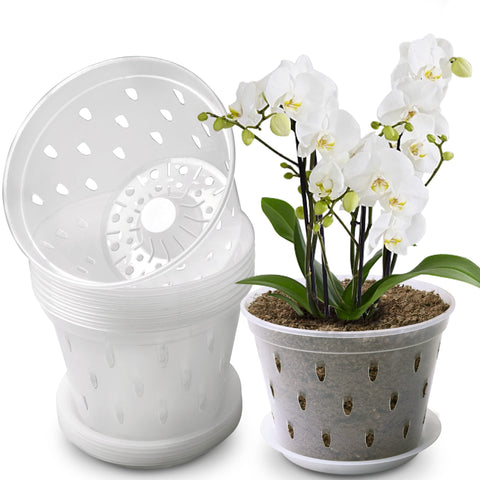 Lanccona Orchid Pot 6-7 inch top view shows clear walls for easy root observation