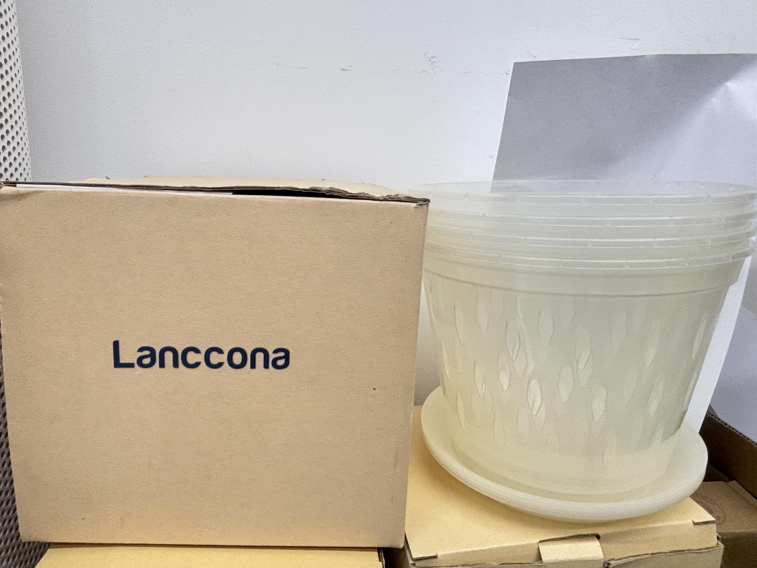 Lanccona 8-inch pots suit home and garden orchid setups.