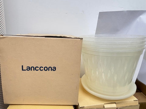 Lanccona 8-inch pots suit home and garden orchid setups.