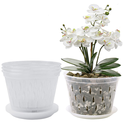 Lanccona orchid pot 8-inch top view shows clear walls for root monitoring.