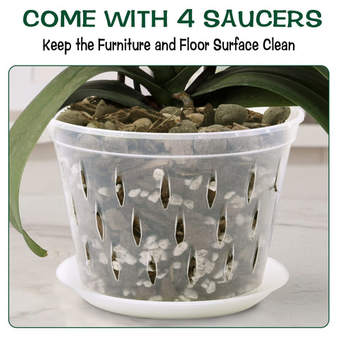 Lanccona pot with drainage holes promotes airflow and proper moisture balance.