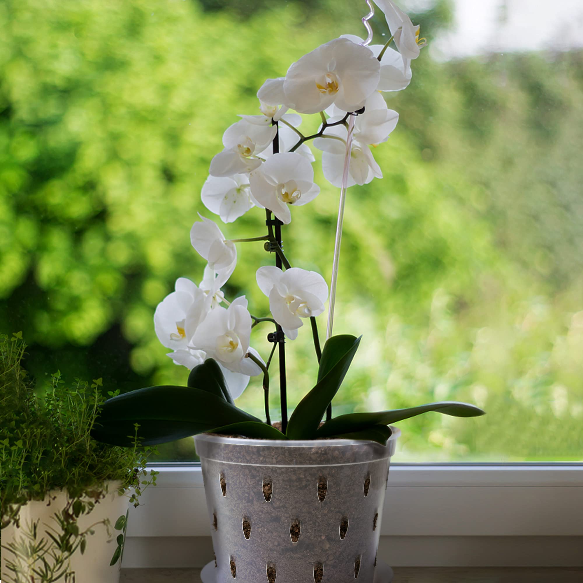 Lanccona orchid pot easy to clean and store after use