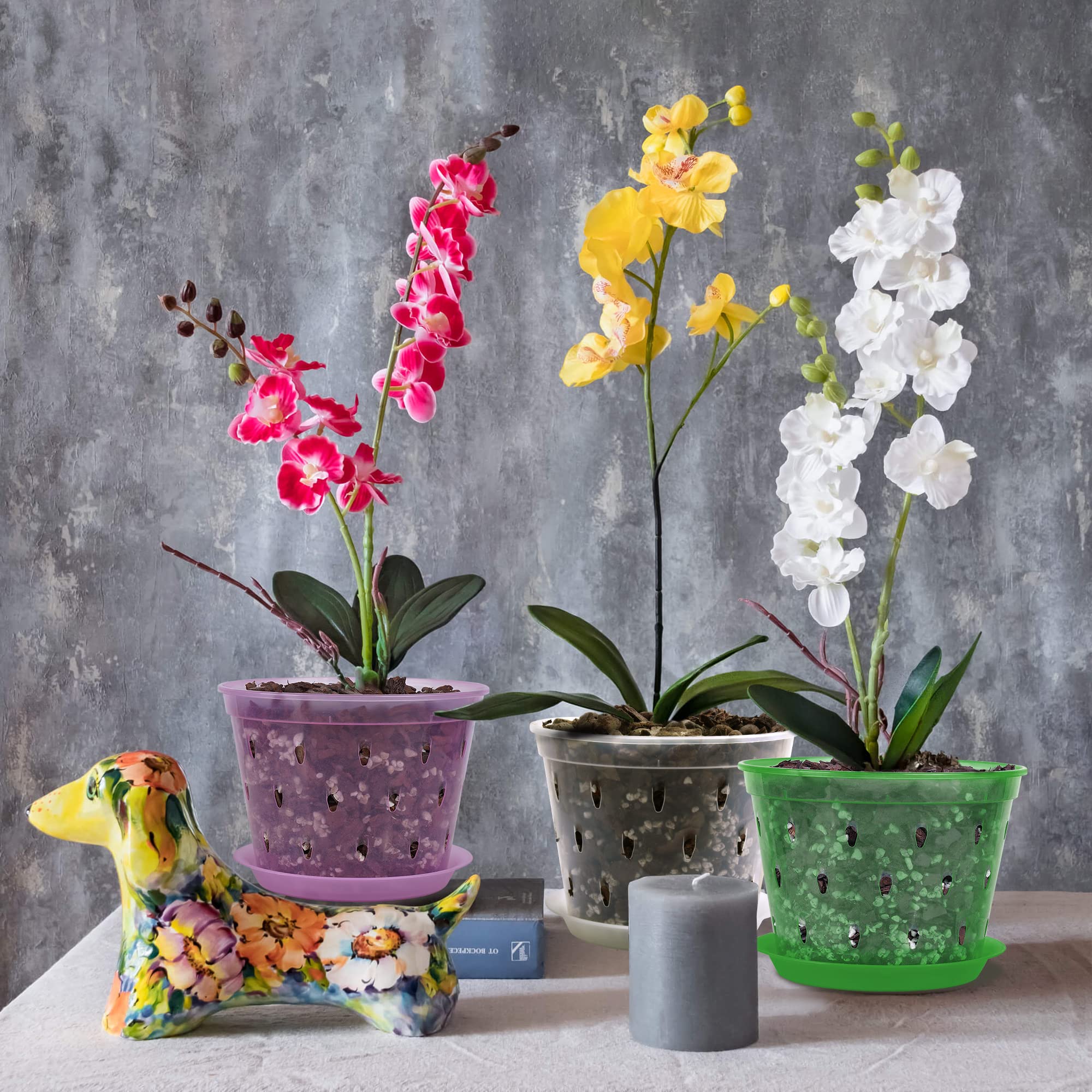 Lanccona orchid pot root observation aid on clear pot