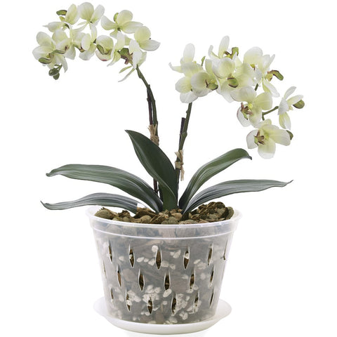 Lanccona orchid pot saucers protect floors and desks from spills.