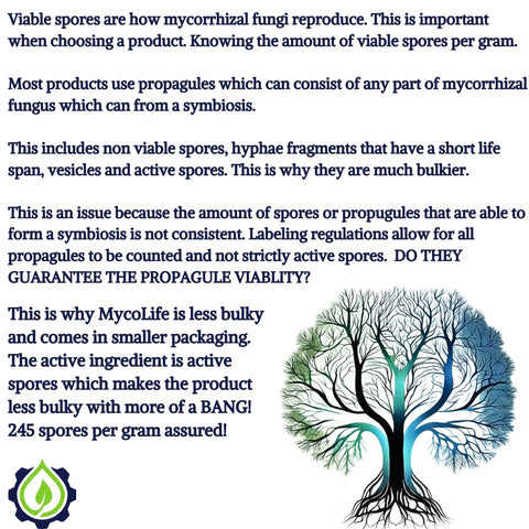 Land Agronomics MycoLife raised-bed use for uniform growth across garden plots.