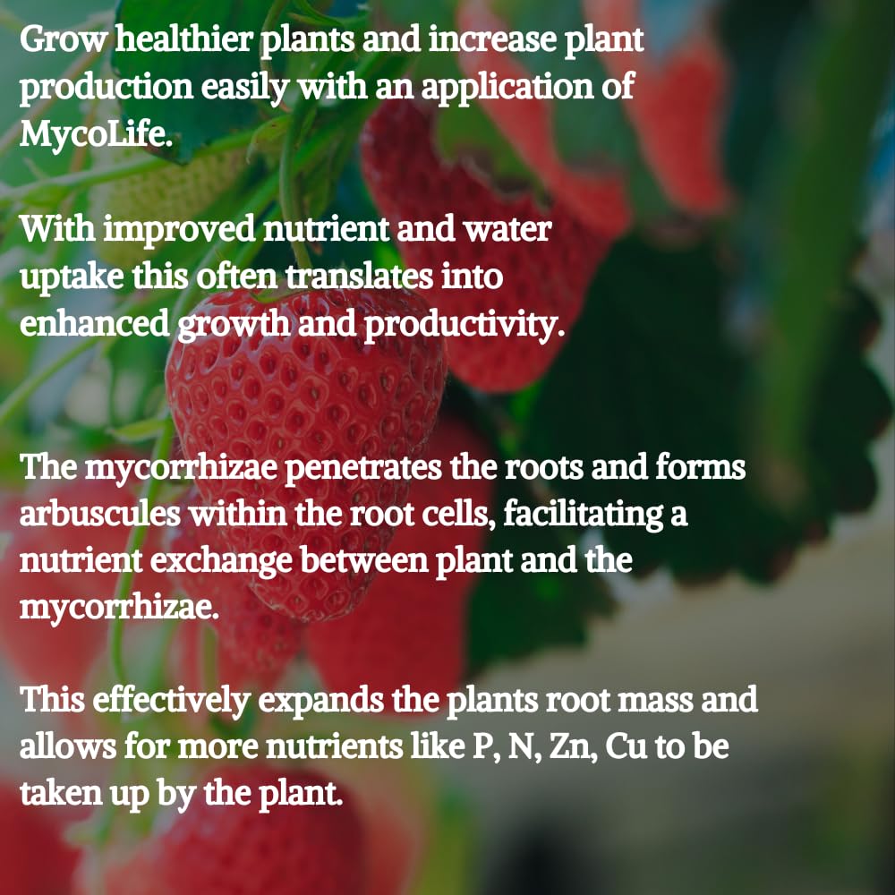 Land Agronomics MycoLife root-development highlights robust root networks for resilience.