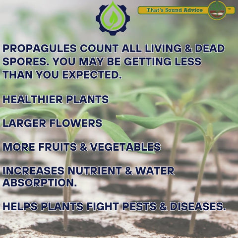 Land Agronomics MycoLife soil-application demonstrates root-friendly inoculation for stronger establishment.