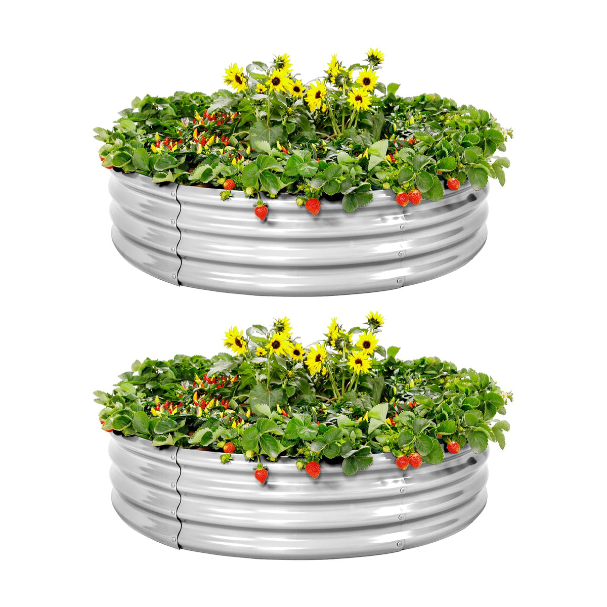 Land Guard 2 Pack galvanized raised bed - side view for sturdy outdoor vegetable gardening