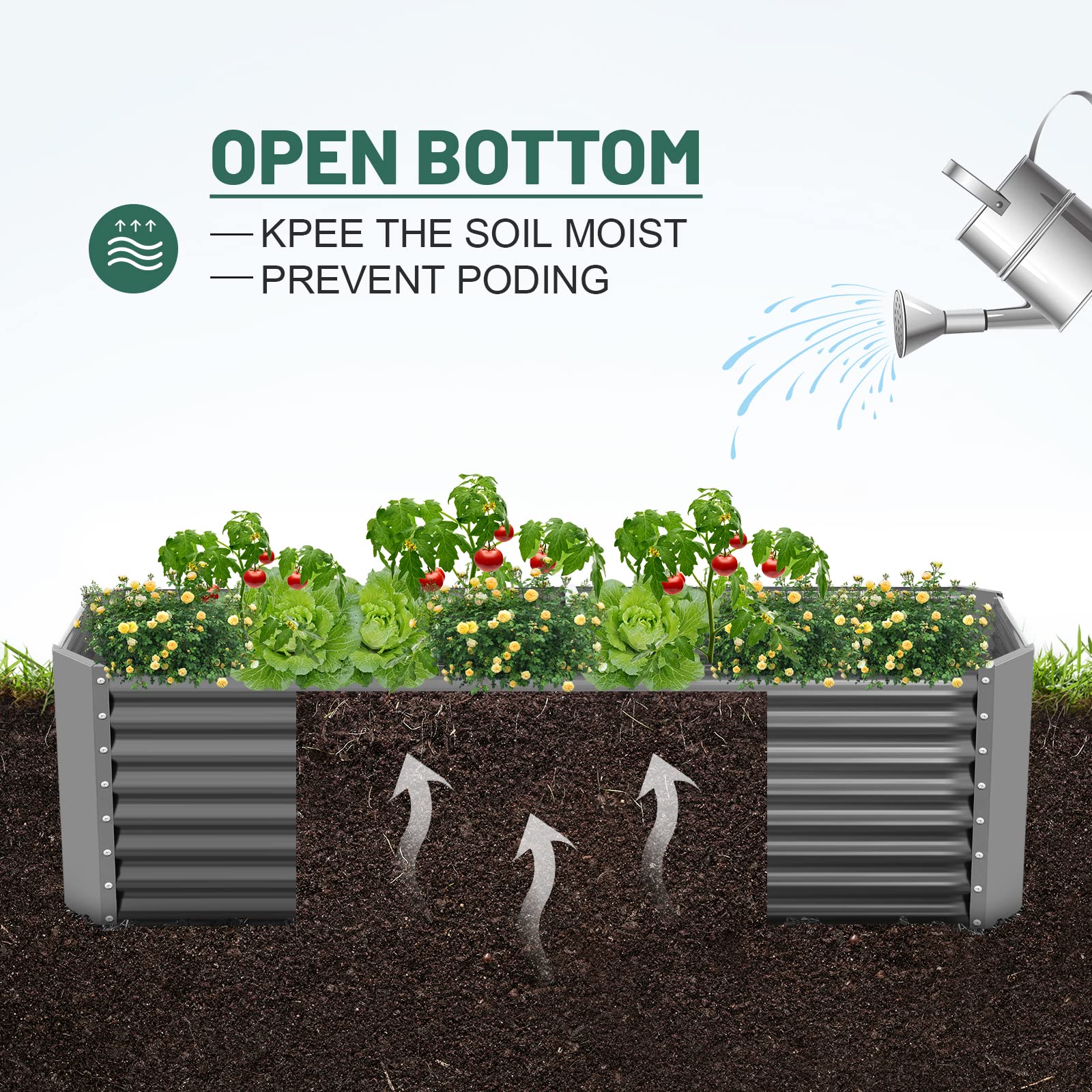 Land Guard bottomless base design promotes drainage and deep root growth.