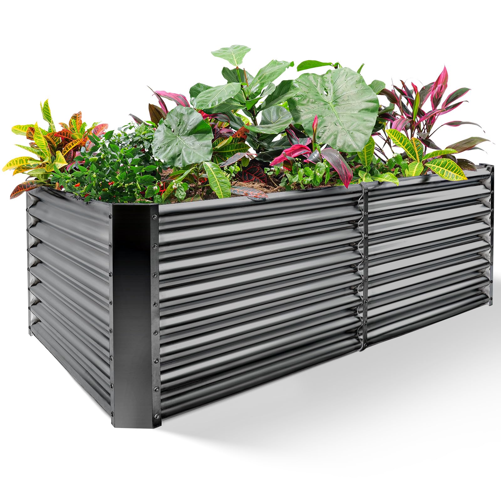 Land Guard galvanized raised bed 8x4x2ft ready for vegetable planting.