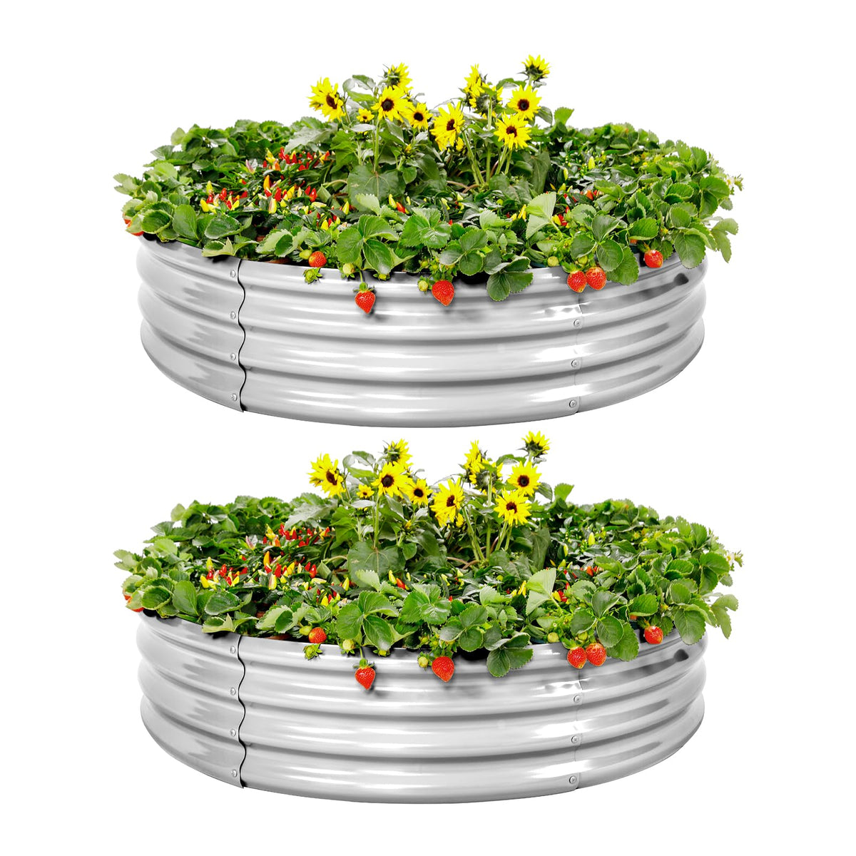 Land Guard galvanized raised garden bed close-up shows sturdy 4x4x1 ft frame for durable outdoor gardening.