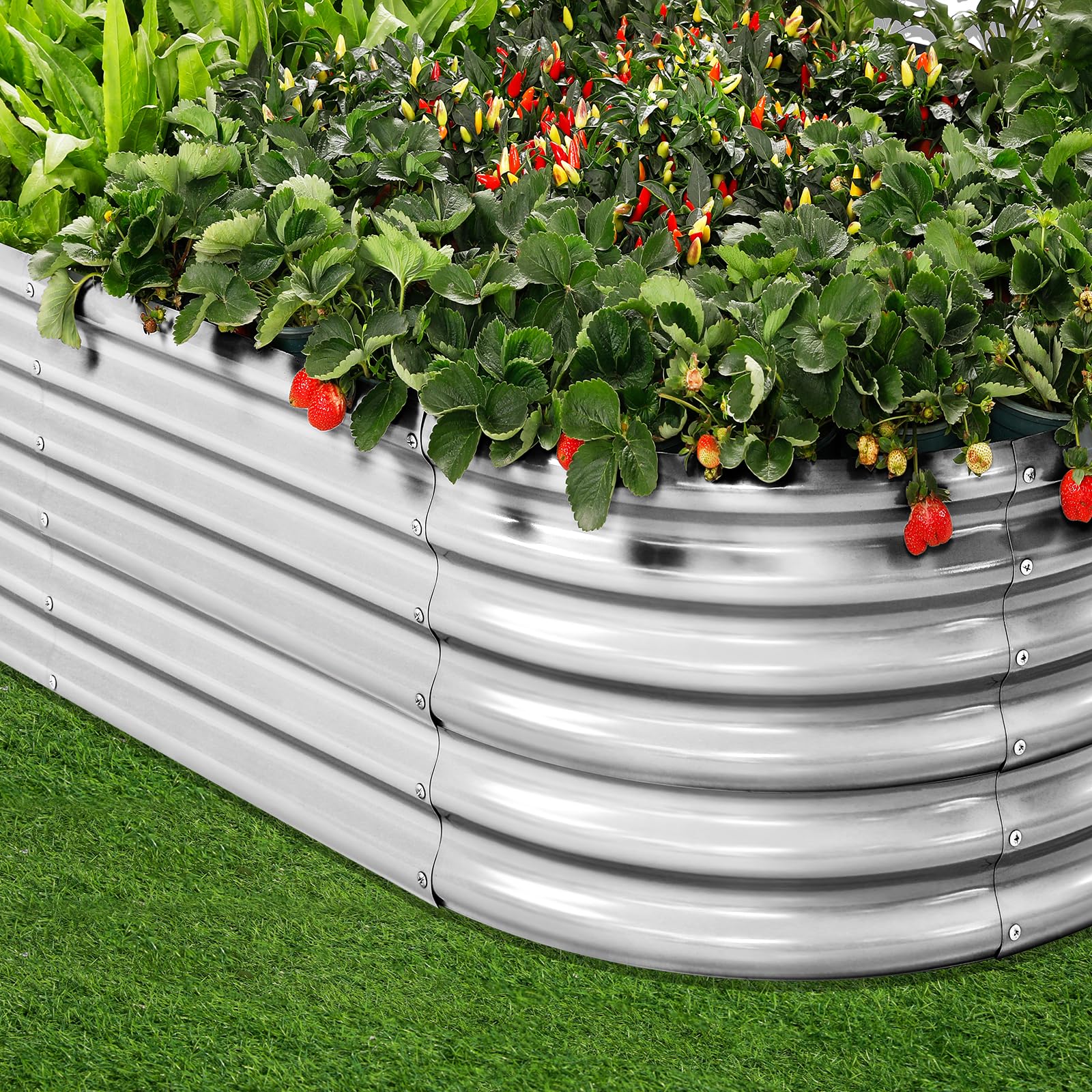 Land Guard open bottom design closeup highlights drainage and root health.