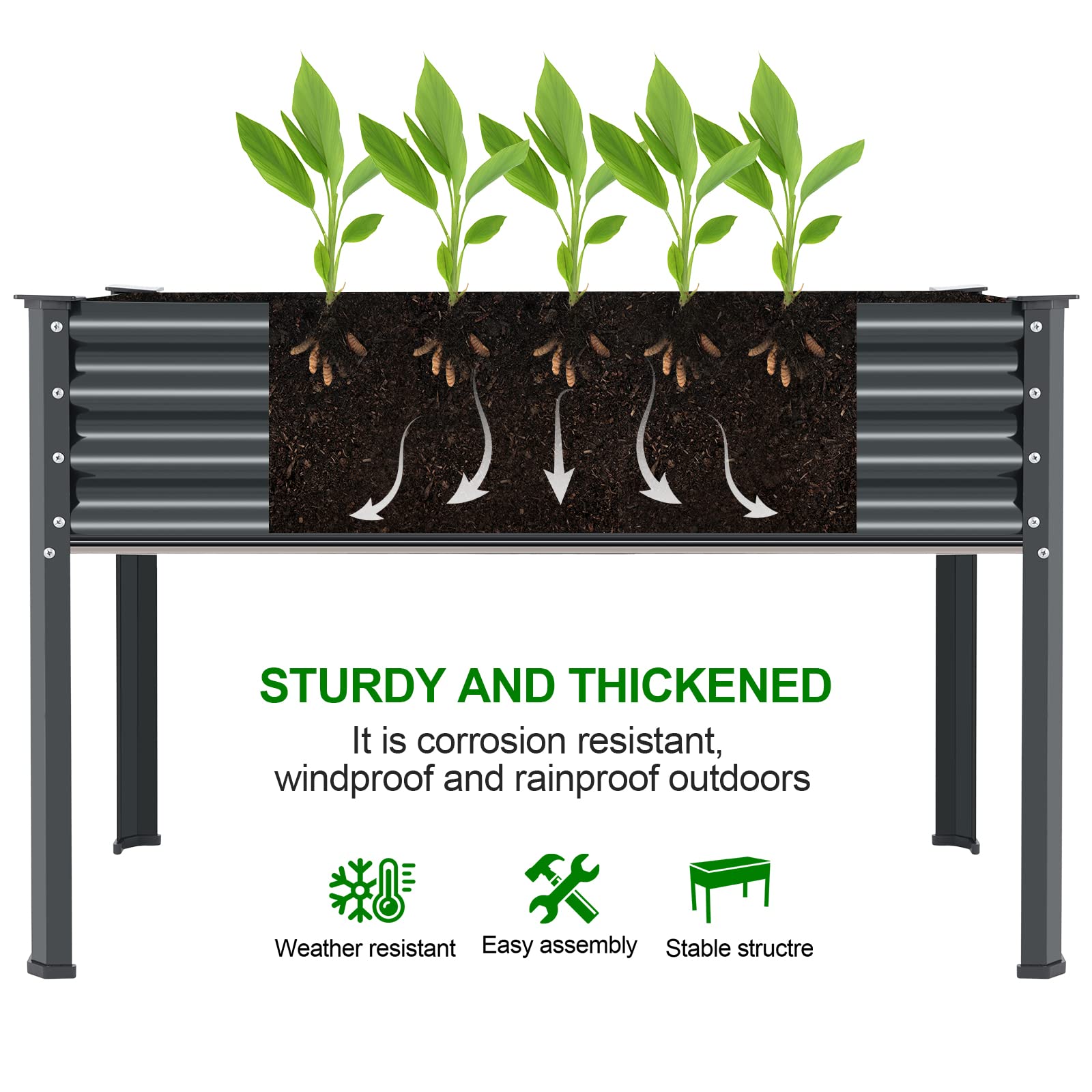 Land Guard outdoor garden bed in backyard under sun and breeze