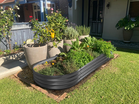 Land Guard outdoor metal bed suitable for vegetables, fruits, and herbs in yards.
