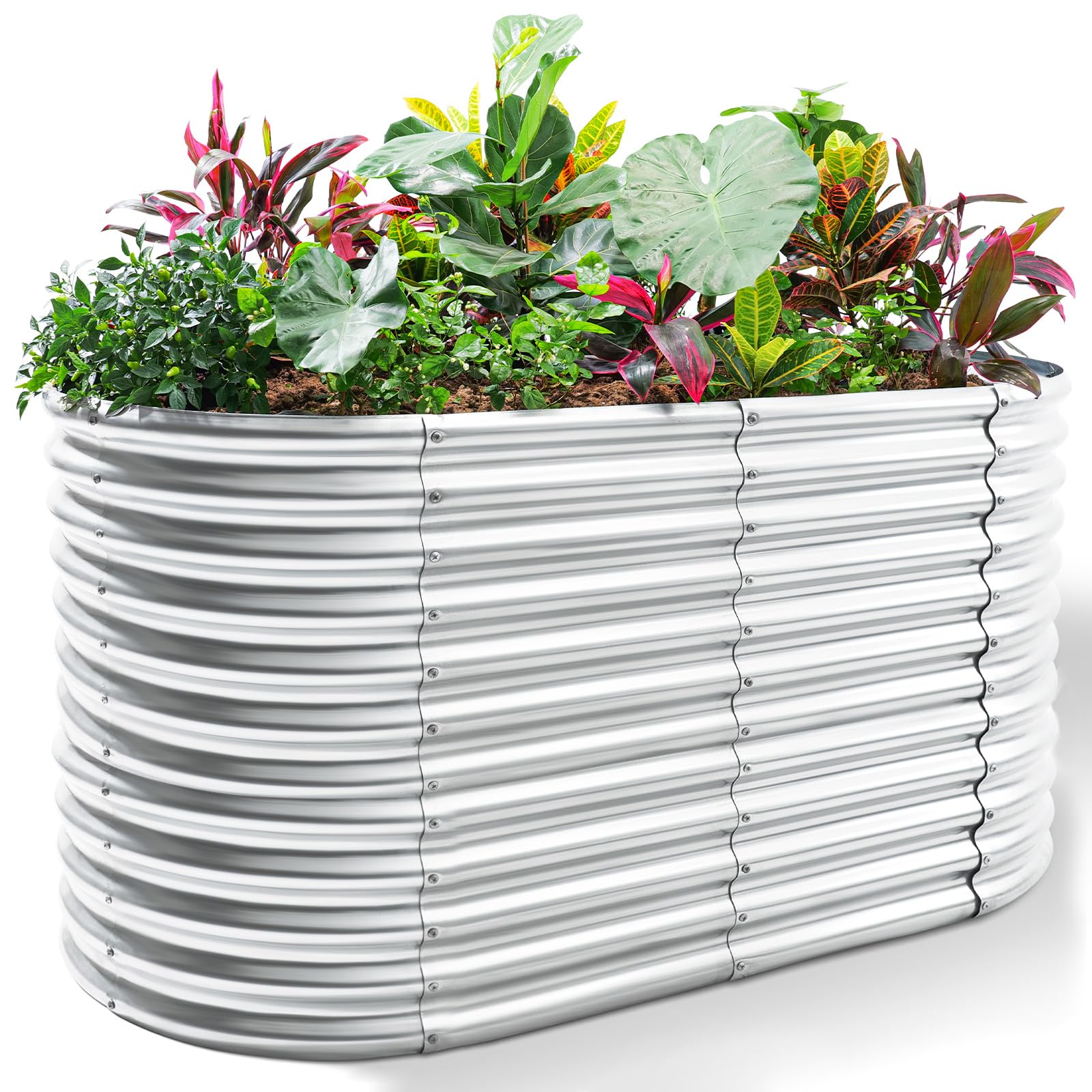 Land Guard oval raised bed 6x3x3ft – spacious planting area for vegetables.