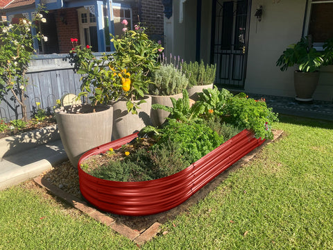 Land Guard bed ready to plant with vegetables, herbs, or flowers