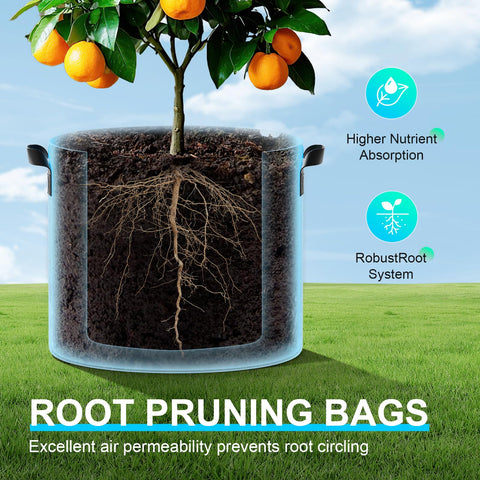 Land Guard space-saving design protects roots during storage and transport.