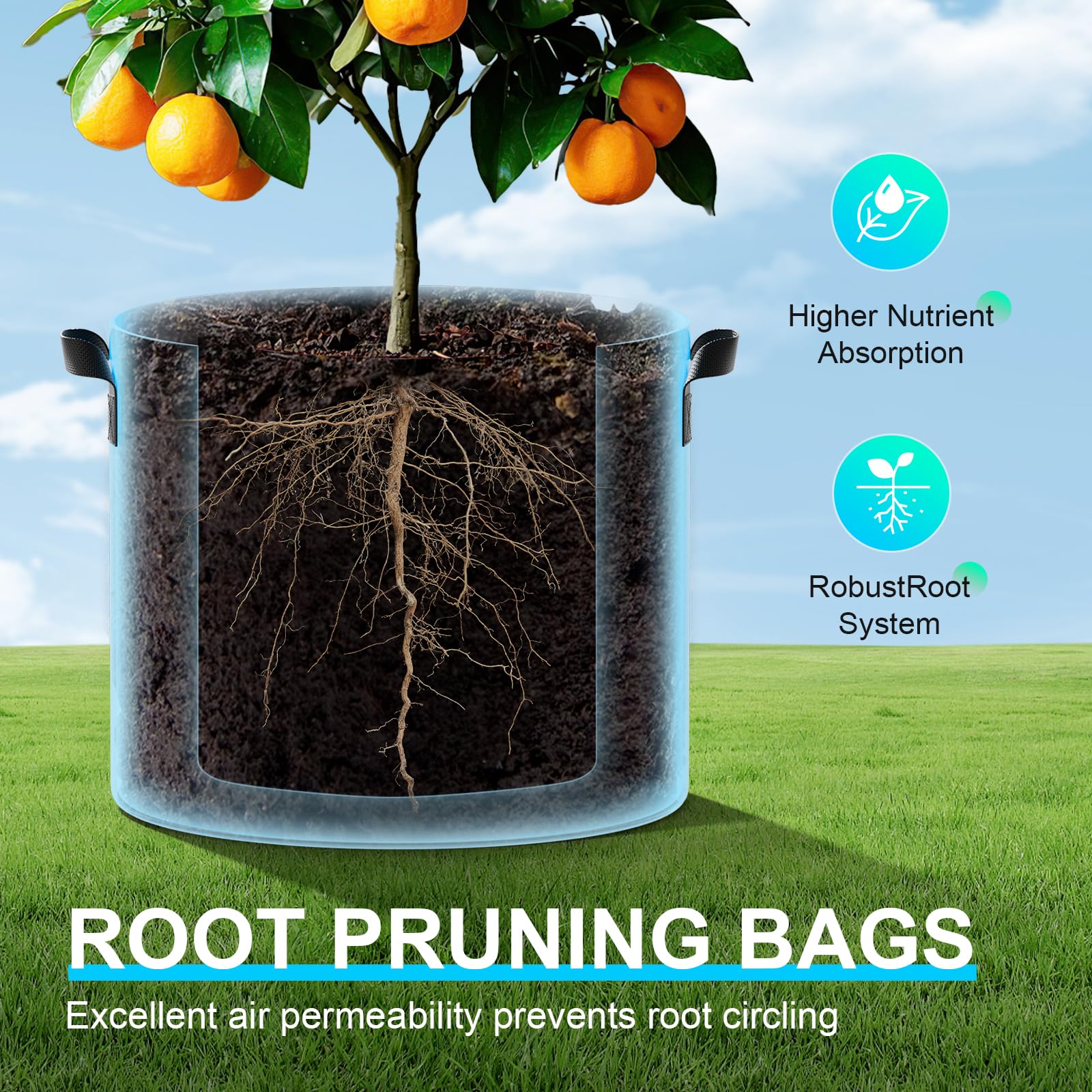 Land Guard thermal insulation protecting roots in varying climates.