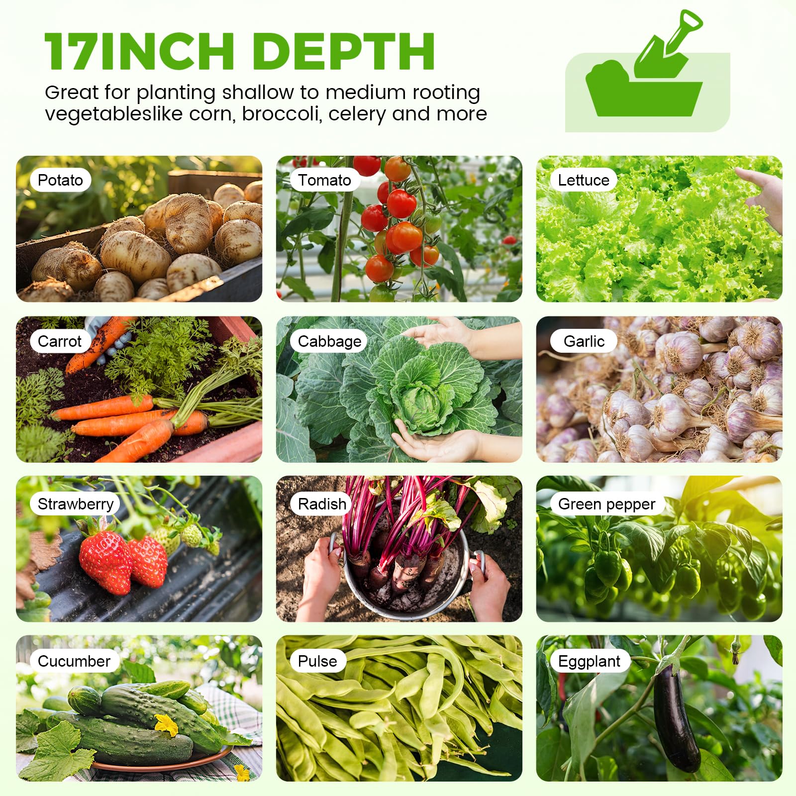 Land Guard 89-gallon capacity supports diverse plantings from vegetables to flowers