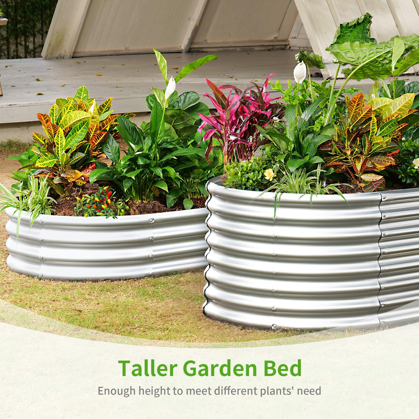 Land Guard vegetables thriving in raised bed for practical use
