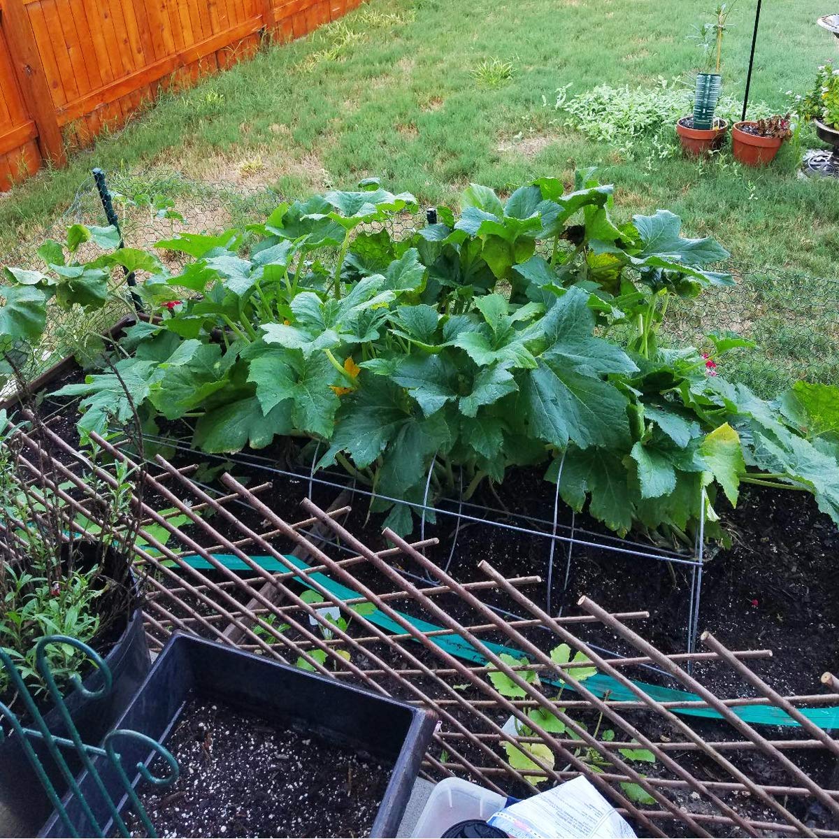 LANDGARDEN garden trellis used as plant support for vines.