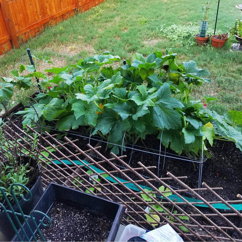 LANDGARDEN garden trellis used as plant support for vines.