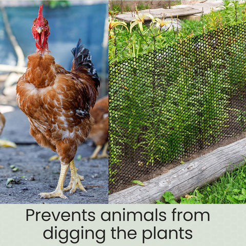 Landical garden fencing suitable for chicken enclosures and yard boundaries.