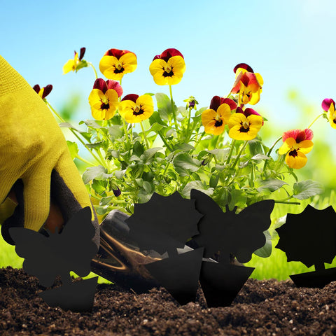 Landisun fungus gnat traps with sticky adhesive for houseplants and soil pest prevention.