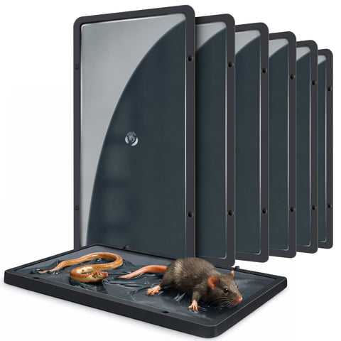 Landisun glue trap indoors for mice — secure capture without noise