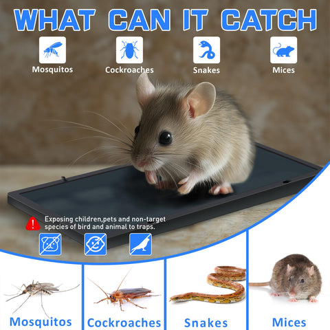 Landisun glue trap indoors for rats — large tray prevents escape