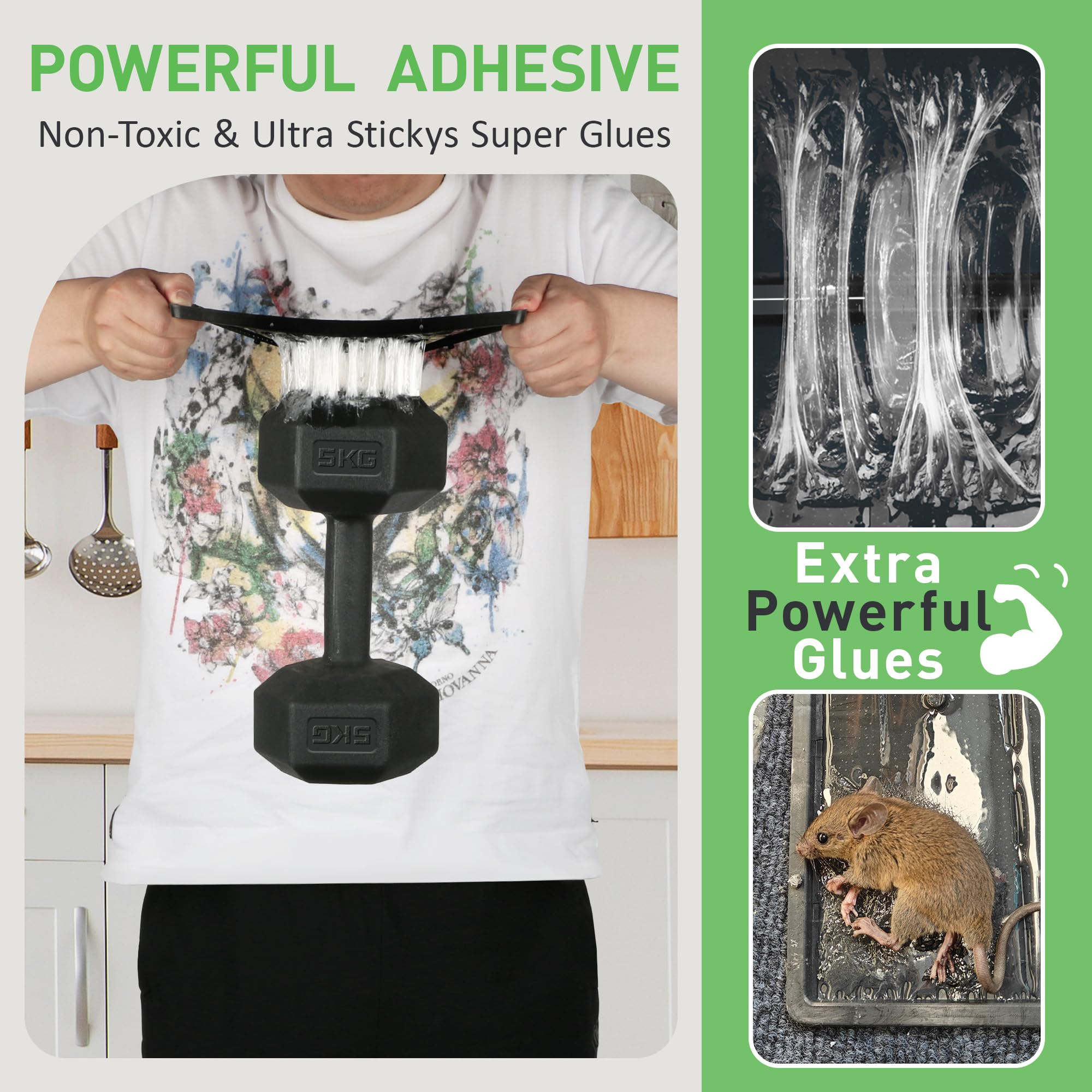 Landisun non-toxic trap emphasizes home safety and cleanliness